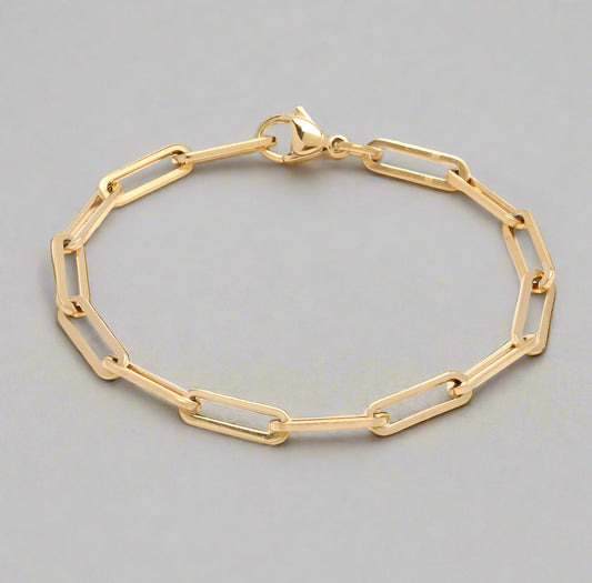 Linked Up Anklet (medium)