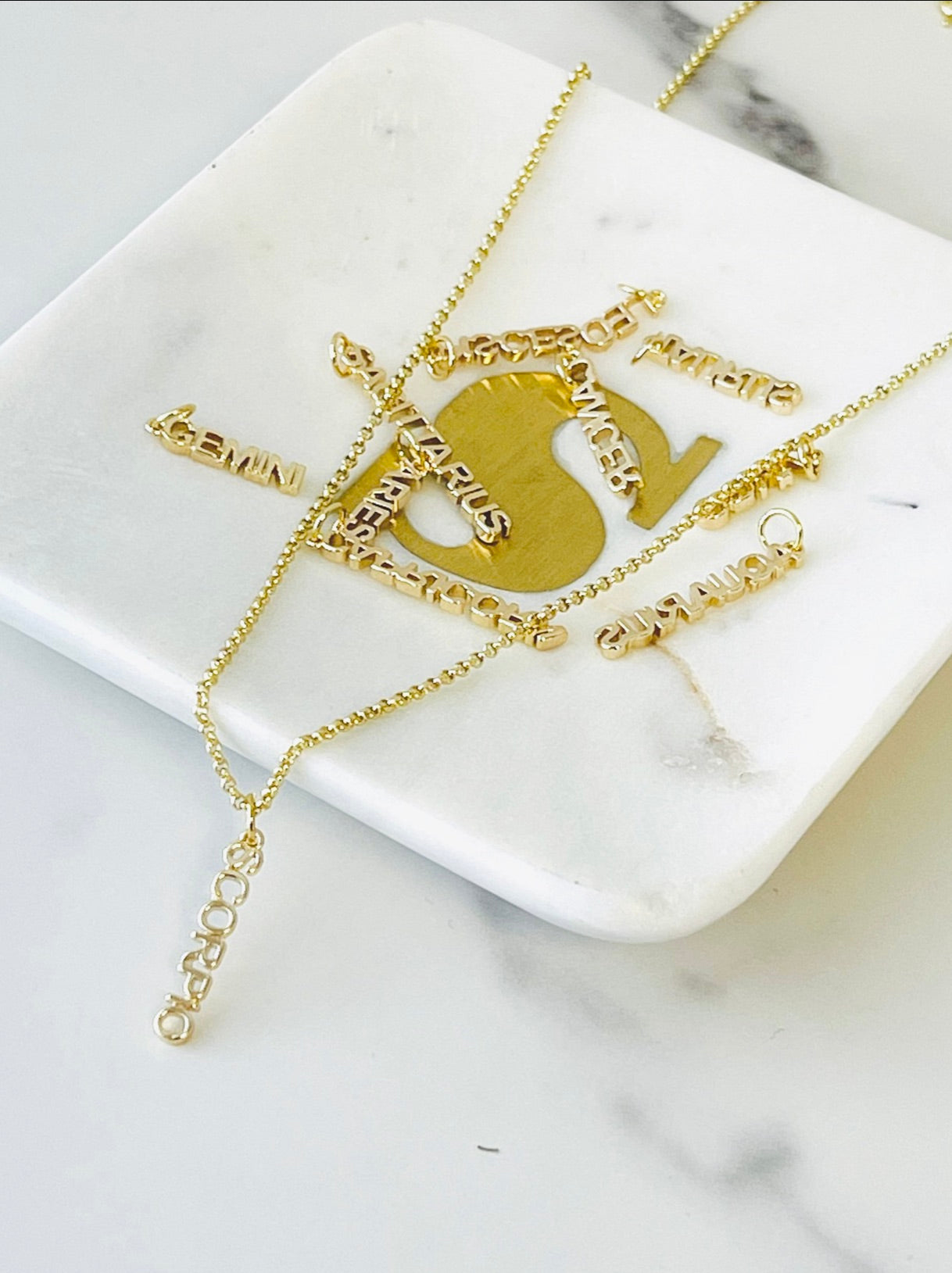 Dainty Zodiac Charm Necklace