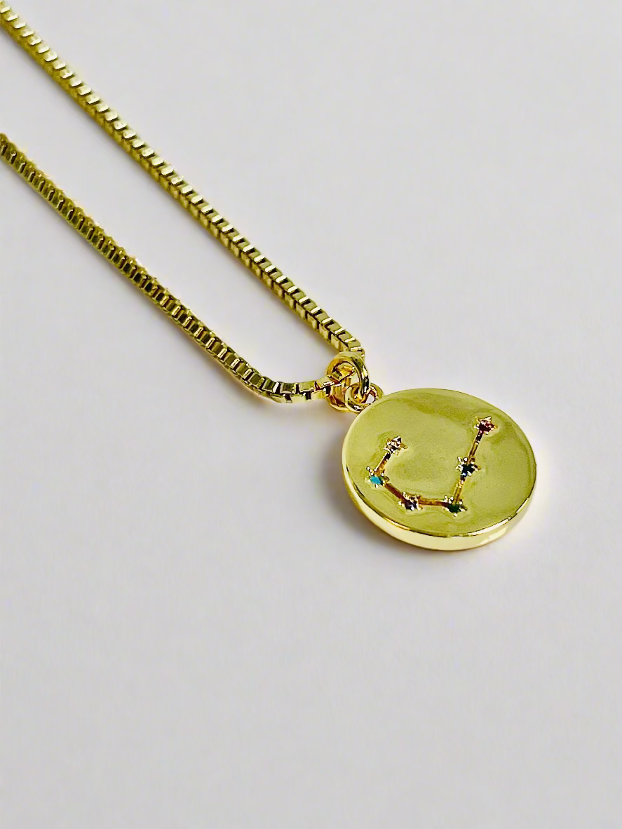 Double Sided Zodiac Pendant Necklace