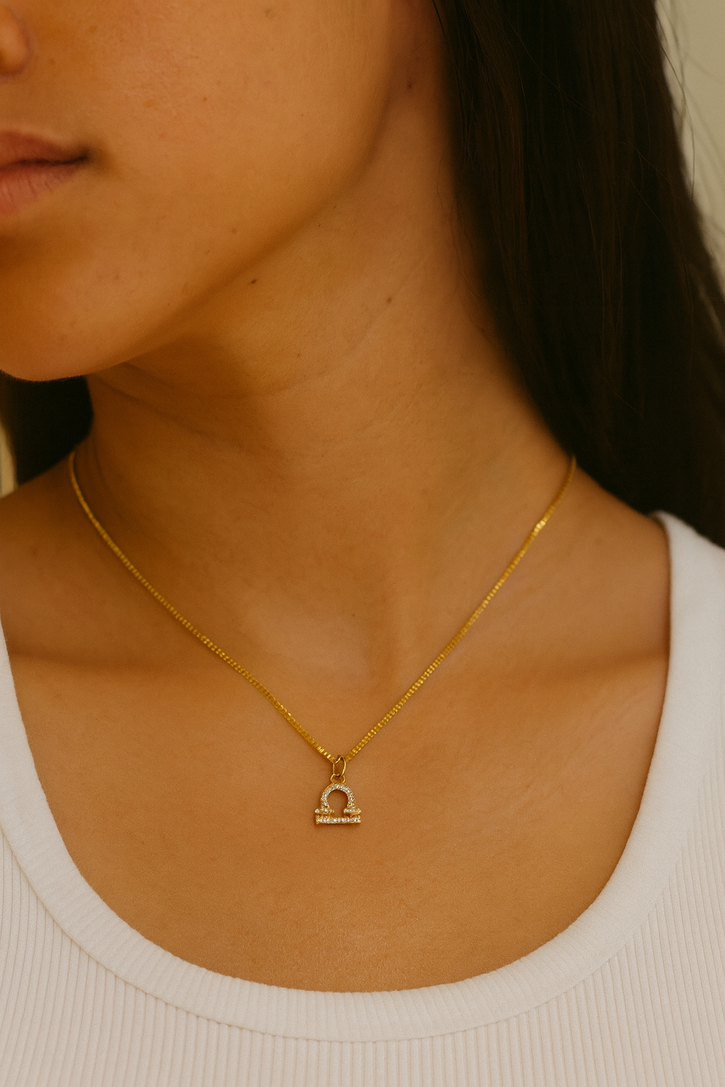 Dainty Micro Pave Zodiac Charm Necklace