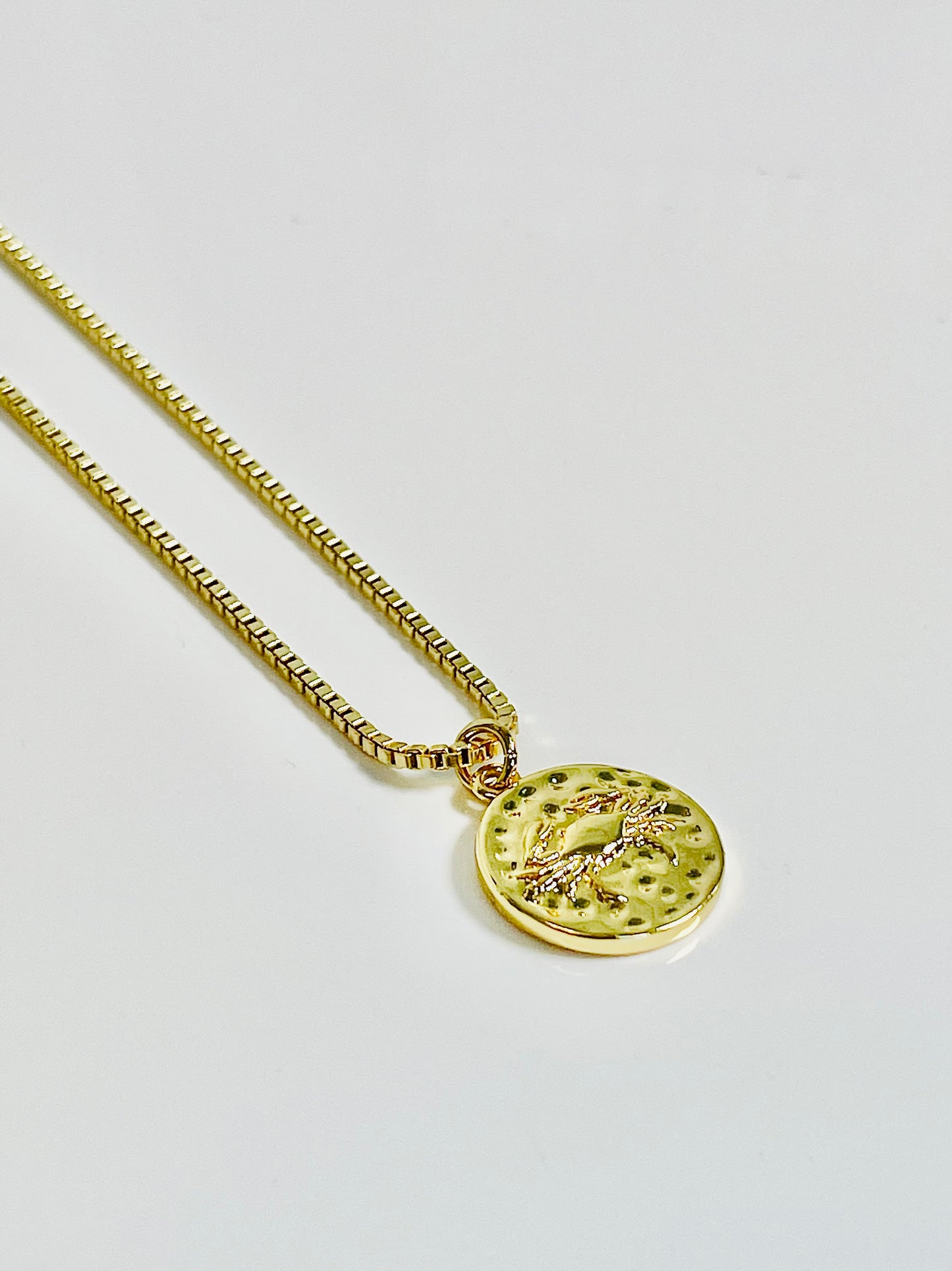 Double Sided Zodiac Pendant Necklace
