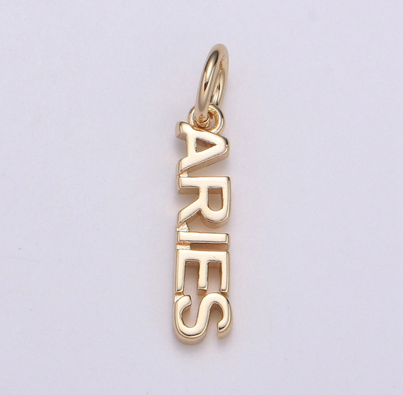 Dainty Zodiac Charm Necklace
