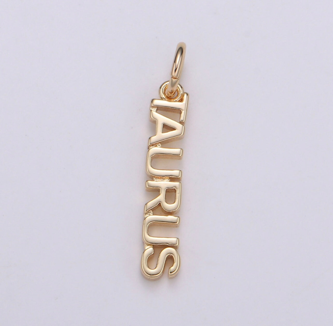 Dainty Zodiac Charm Necklace