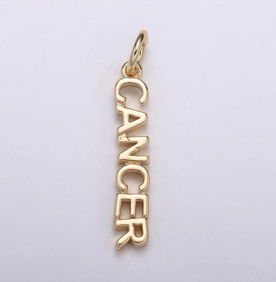 Dainty Zodiac Charm Necklace
