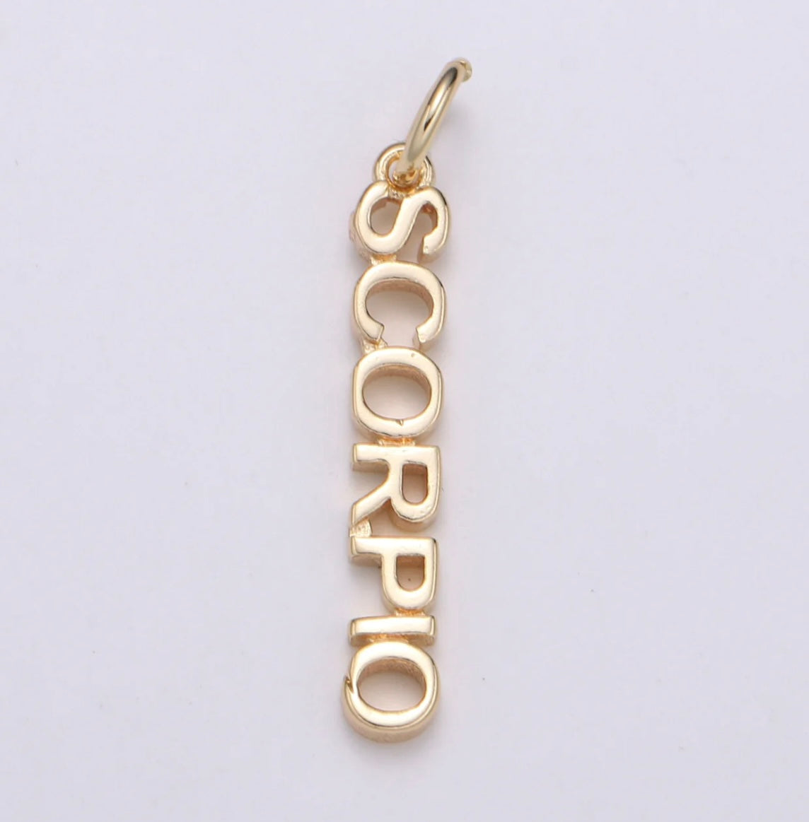 Dainty Zodiac Charm Necklace