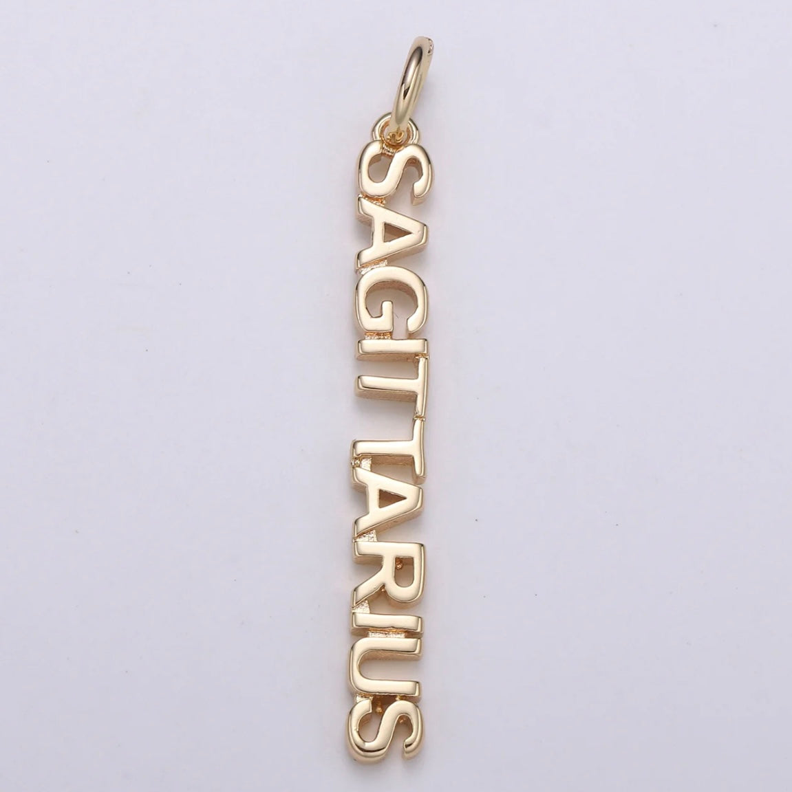 Dainty Zodiac Charm Necklace