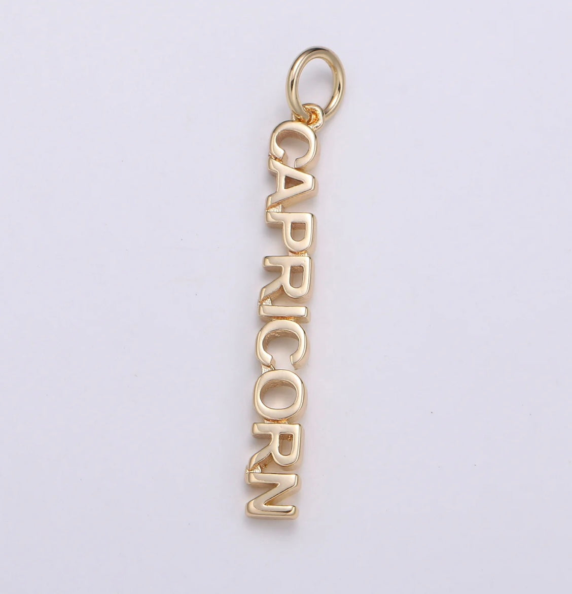 Dainty Zodiac Charm Necklace