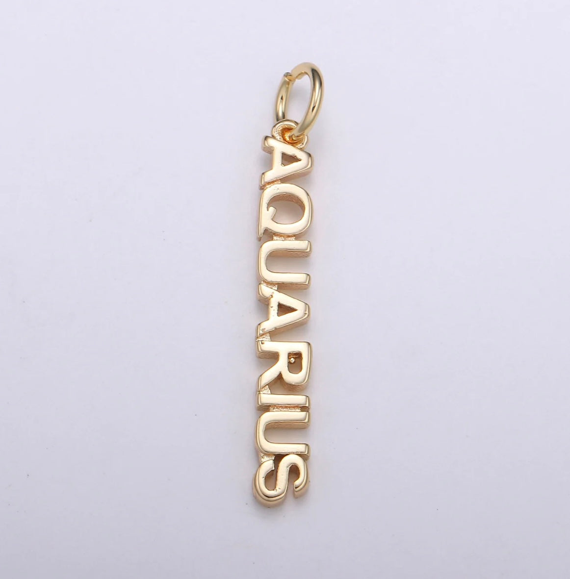 Dainty Zodiac Charm Necklace