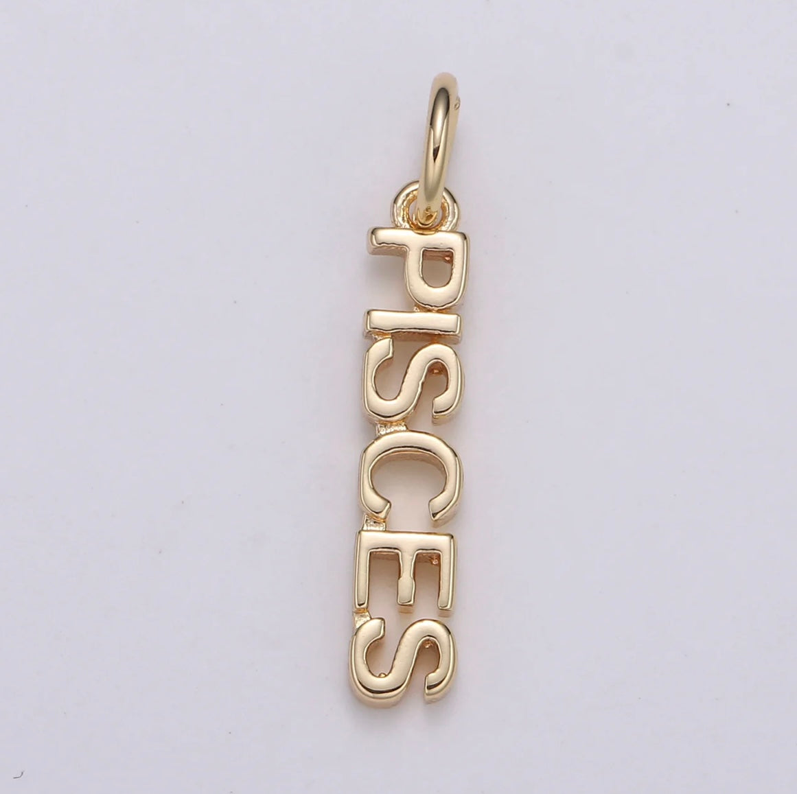 Dainty Zodiac Charm Necklace