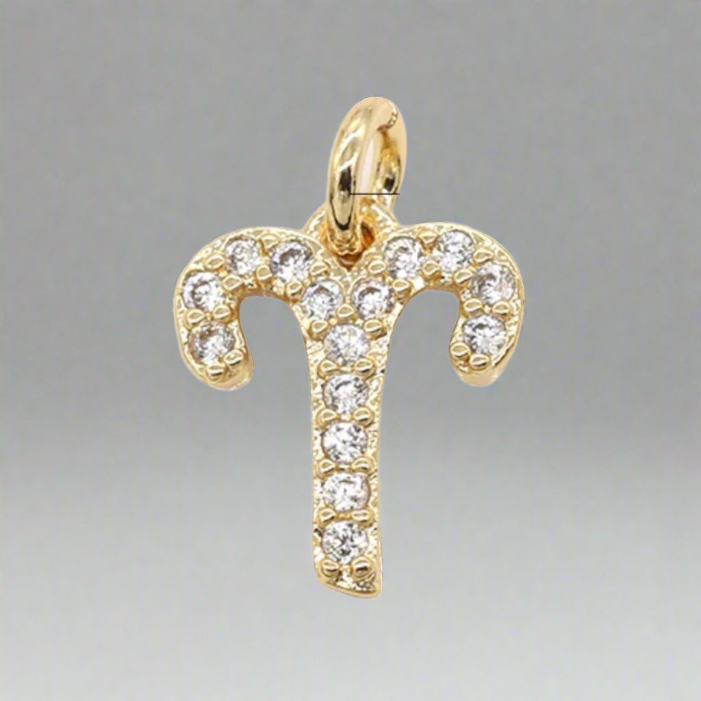 Dainty Micro Pave Zodiac Charm Necklace